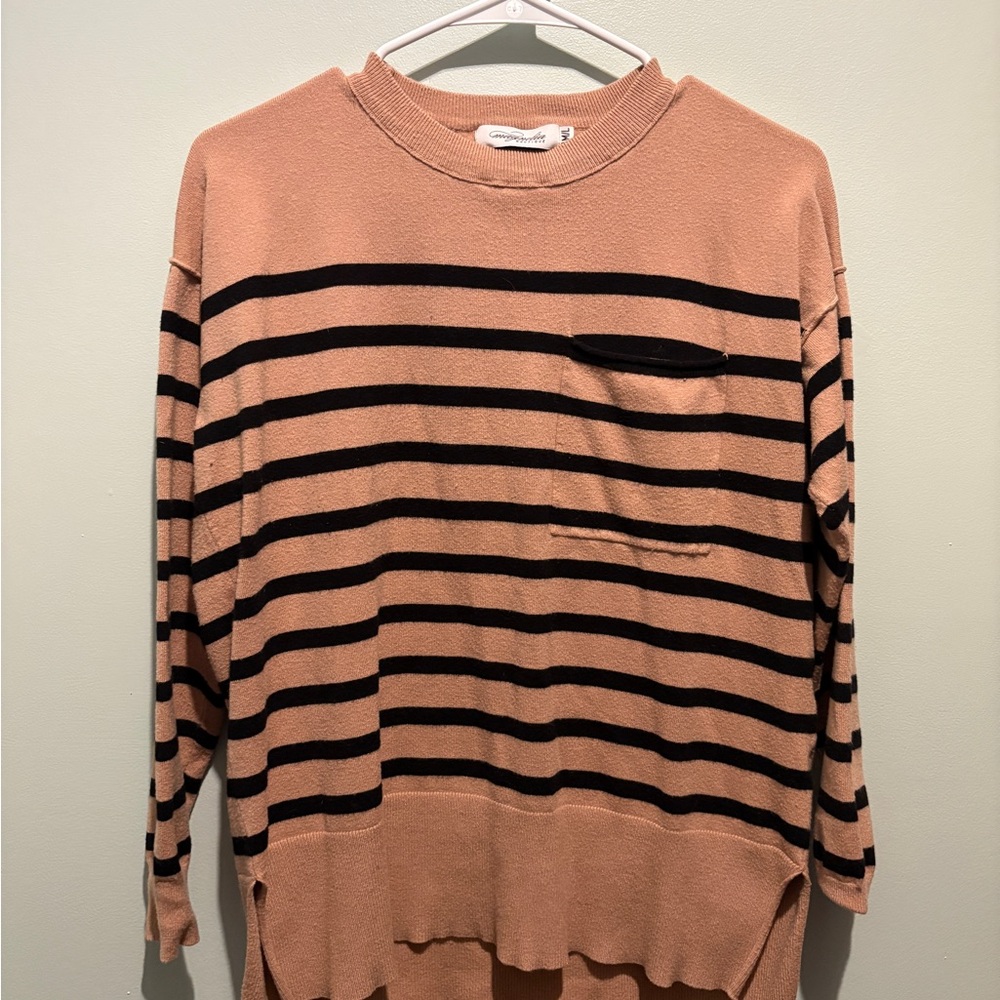 Magnolia Tan and Black Striped Crew Neck Sweater